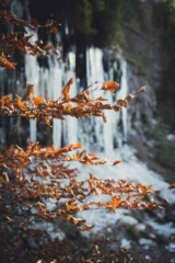 Cascate di Vallesinella