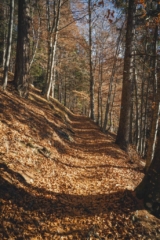 Cascate di Vallesinella