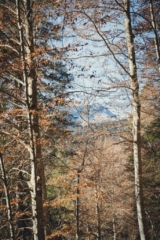 Cascate di Vallesinella